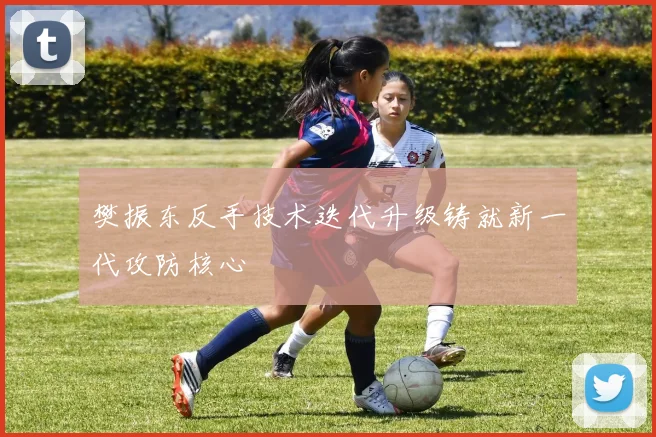 樊振东反手技术迭代升级铸就新一代攻防核心